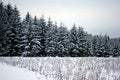 Free Natures Geometry Royalty Free Stock Images - 4750829