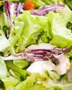 Free Salad Close Up Royalty Free Stock Photos - 4751838