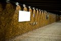 Free A Bricked Hallway With Blank Advertisement Boards Royalty Free Stock Image - 4752076