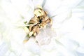 Free Flower Royalty Free Stock Images - 4758779