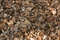 Free Autumn Background Royalty Free Stock Images - 4755009