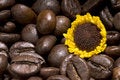 Free Coffee Gives Vitality Royalty Free Stock Photo - 4765885
