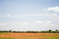 Free Masai Mara Reserve Stock Photography - 4768982