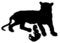 Free Tiger And Cubs 1 Stock Photos - 4762233