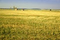 Free Golden Fields Stock Image - 4772131