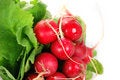 Free Radish Stock Images - 4773804