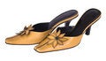 Free Tan Ladies Shoes,isolated Stock Photos - 4775623