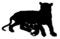 Free Tiger And Cubs Royalty Free Stock Images - 4770389