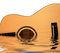 Free Ukulele Royalty Free Stock Photo - 4784695