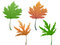 Free Leaves In Green And Yellow Royalty Free Stock Photography - 4789167