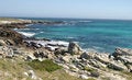 Free Cape Of Good Hope Stock Photo - 4799080