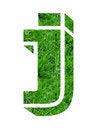 Free Lawn Designs Royalty Free Stock Images - 4799789