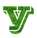 Free Lawn Designs Royalty Free Stock Photos - 4799968