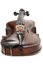 Free Isolated Violin Royalty Free Stock Images - 4791119