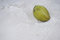 Free Coconut Fruit On The Beach Sand Stock Images - 4797354