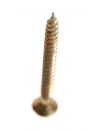 Free Screw Royalty Free Stock Image - 480926