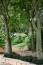 Free Park Foliage Stock Photo - 484880