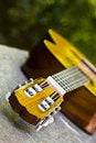 Free Guitar In Perspective Stock Image - 4800491