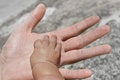 Free Baby Hand Royalty Free Stock Photos - 4801898