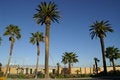 Free Las Vegas Royalty Free Stock Photography - 4806497