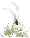 Free Bugs In Grass Royalty Free Stock Photography - 4807137