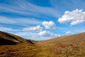 Free Grassland Stock Image - 4809491