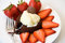 Free Molten Chocolate Cake Stock Photography - 4815842