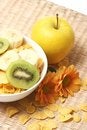 Free Corn Flakes Stock Photography - 4820802