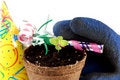 Free Celebrate Spring Stock Photography - 4825822