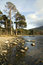 Free Trees And Rocks By A Lake Stock Images - 4820994