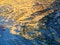 Free Reflections On Water 1 Royalty Free Stock Photos - 4826528