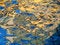Free Reflections On Water 2 Stock Photography - 4826532