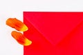 Free Petals And An Envelope Royalty Free Stock Image - 4834426