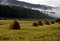 Free Morning Fog Above Haystacks Stock Photos - 4834263