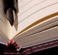 Free Daily Log Royalty Free Stock Image - 4840296