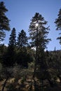 Free Potatso National Park 3 Stock Photo - 4841470