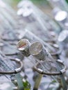 Free Test Tubes Royalty Free Stock Image - 4841806
