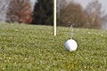 Free Golfing Royalty Free Stock Photography - 4842167