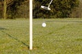 Free Golfing Stock Images - 4842214