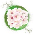 Free Spring Blooming Royalty Free Stock Photography - 4845037