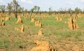 Free Feature Heaps Of Dirt Stock Photos - 4845153
