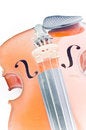 Free Violin Details Royalty Free Stock Photography - 4845697