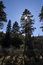 Free Potatso National Park 3 Stock Photo - 4841470