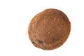 Free Coconut Seed Stock Photo - 4852850