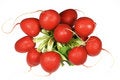 Free Radish Royalty Free Stock Image - 4853416