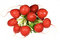 Free Radish Royalty Free Stock Image - 4853416
