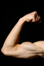 Free A Man Body Stock Image - 4867371