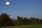 Free White Hot Air Ballon In The Air Stock Photos - 4860833