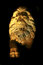 Free Lion Statue Stock Image - 4864971