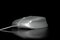 Free White Pc Mouse In The Dark Stock Photography - 4868582